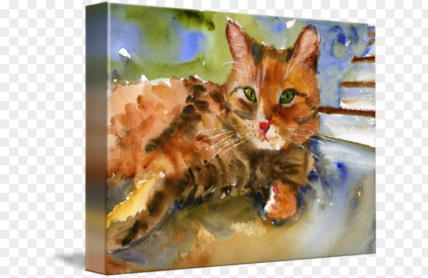 Watercolor Animal Tabby Cat Kitten Painting PNG