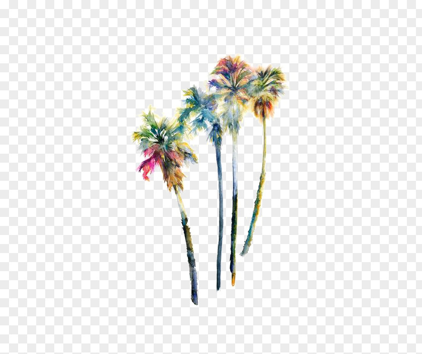 Watercolor Coconut Tree Wall Decal Arecaceae Painting Mural PNG