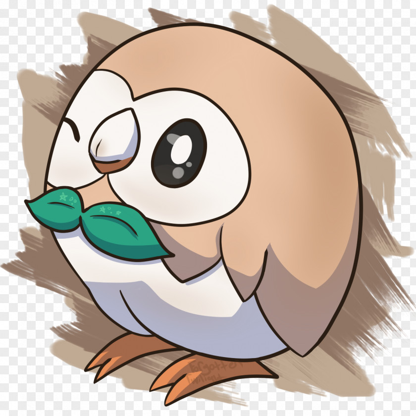 Bird Pokemon Sun Rowlet Drawing The Twilight Saga Image PNG