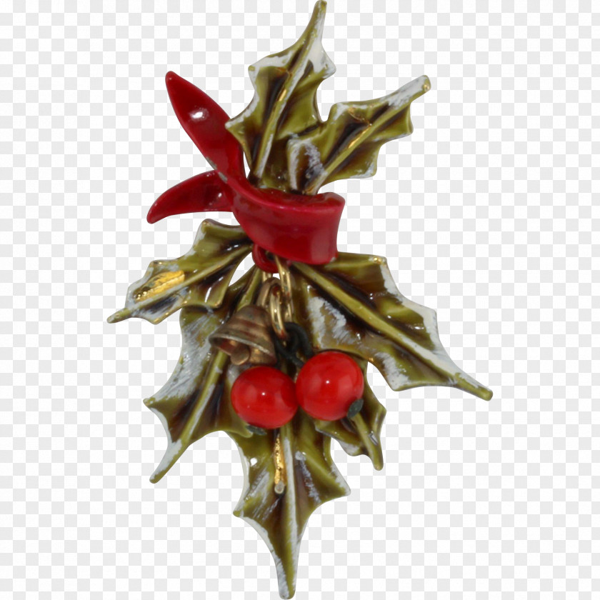 HOLLY Holly Christmas Decoration Aquifoliales Ornament PNG