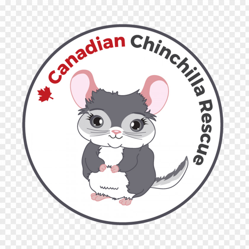 Mouse Toronto Chinchilla Rat Mississauga PNG
