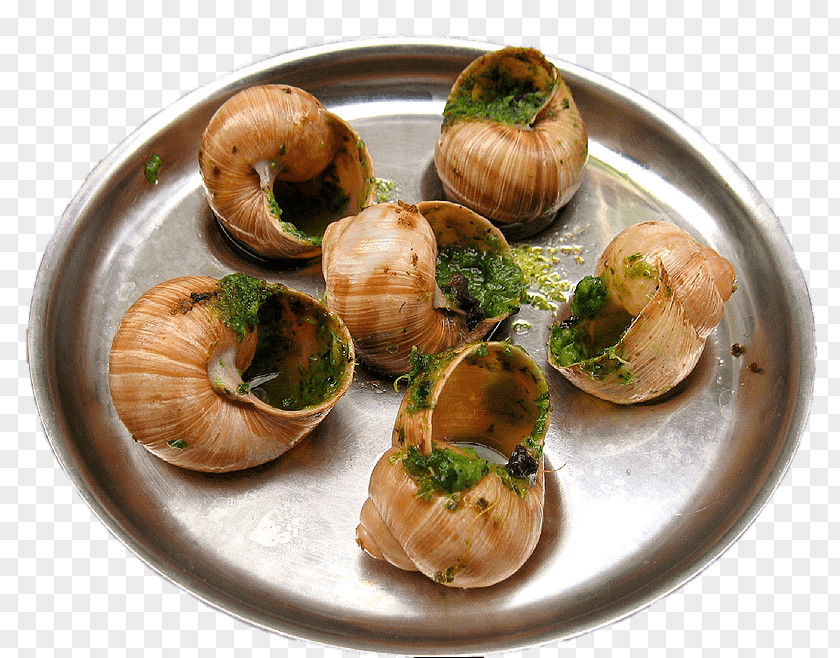 Snail Escargot French Cuisine Greek Food PNG