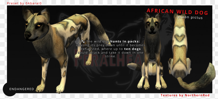 Wild Dog Whippet African Feral Pit Bull German Shepherd PNG