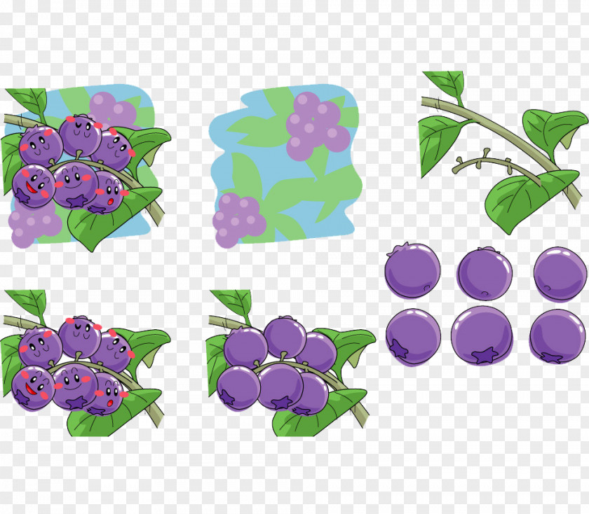 Cartoon Class Of Arbutin Blueberry Material Grape Illustration PNG