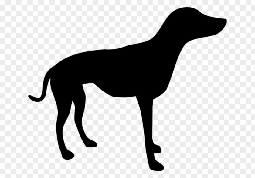 Dogo Argentino Alaskan Husky Dobermann Vector Graphics Royalty-free PNG