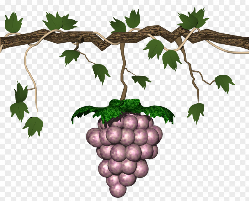 Grape Grape-Nuts Animation Clip Art PNG