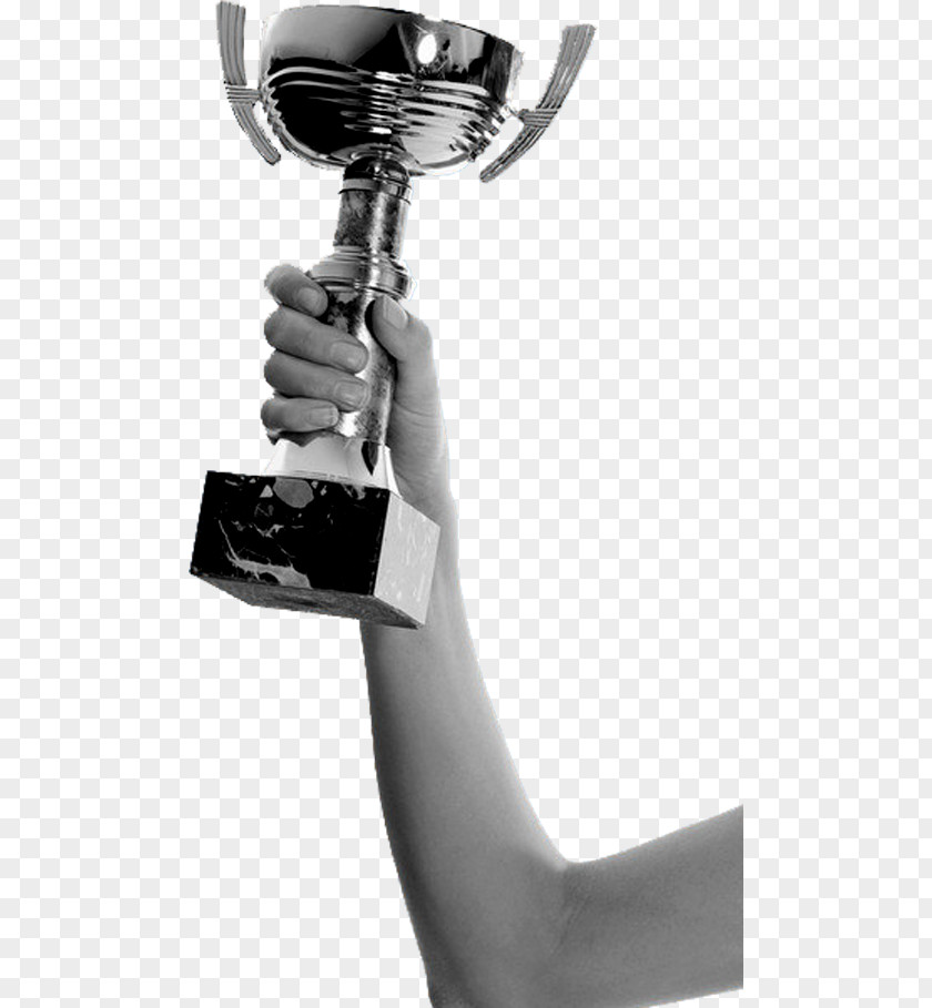 Metal Trophy Picture Medal PNG