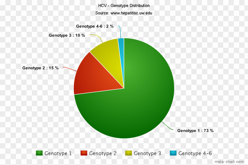 Pie Chart Religion In Brazil Information PNG
