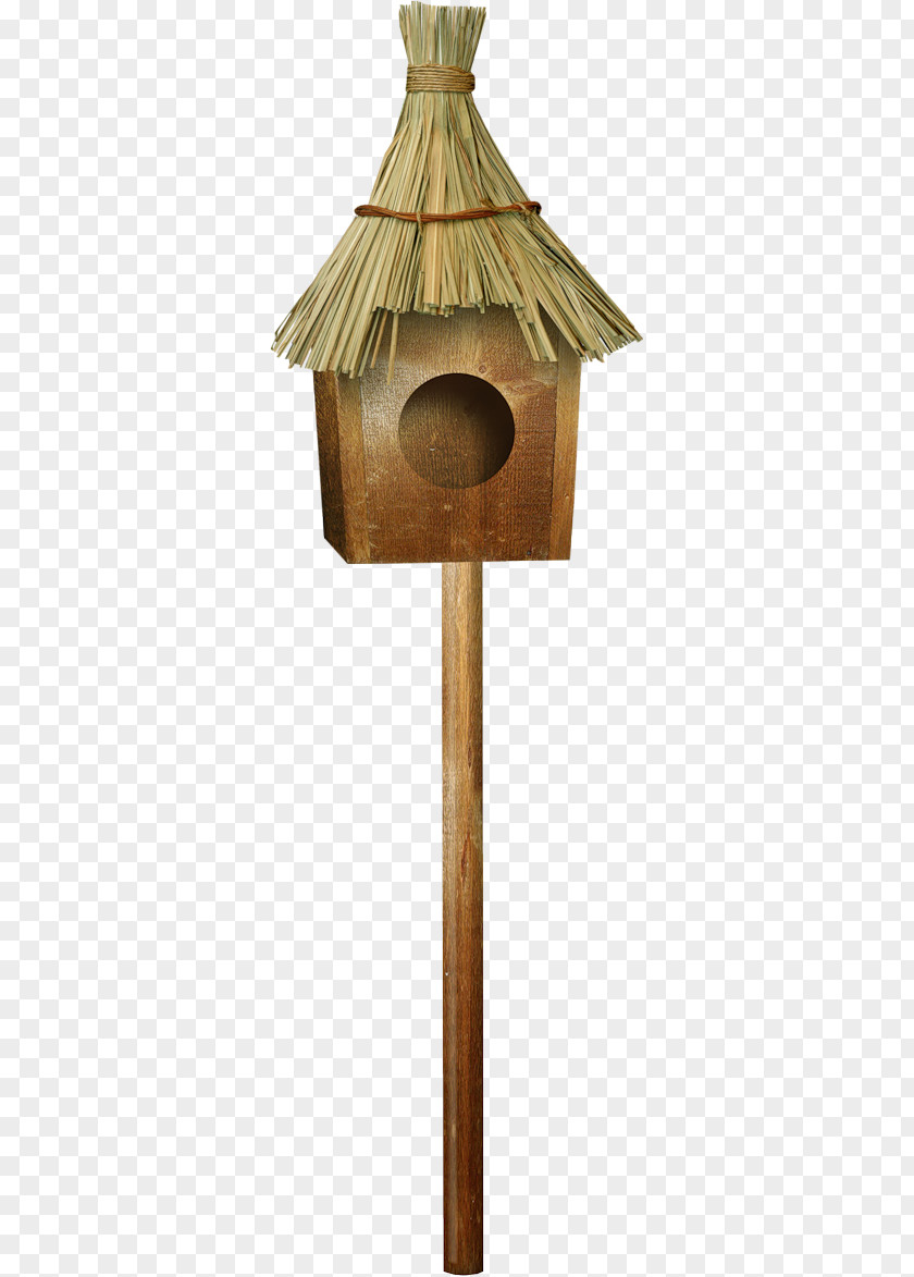 Small Nest Bird Straw PNG