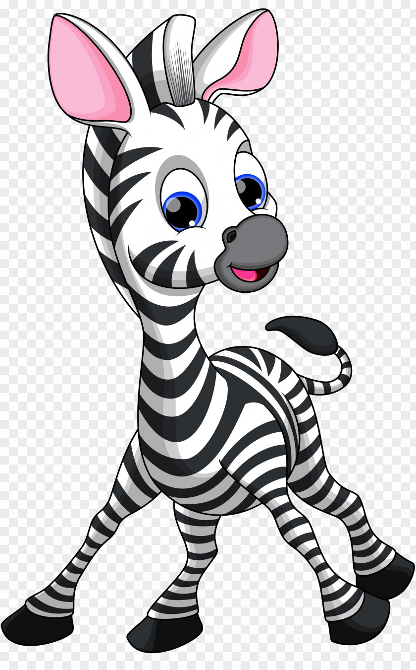 Zebra Cartoon PNG