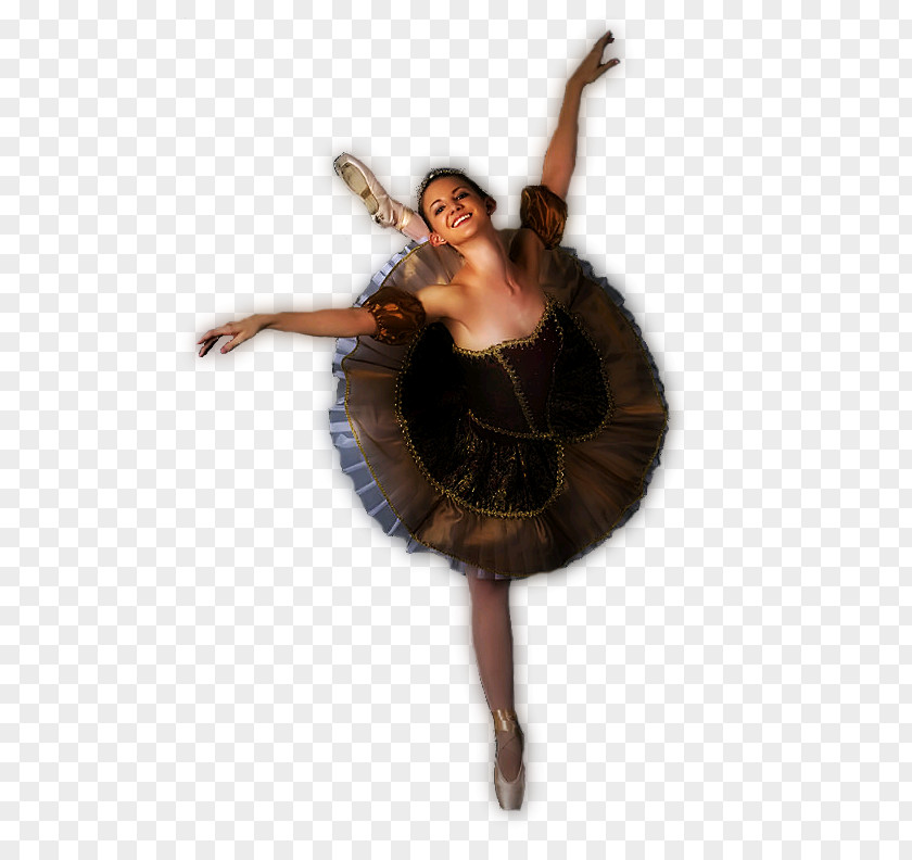 Ballet Pole Dance Tutu Sujet En Chocolat PNG