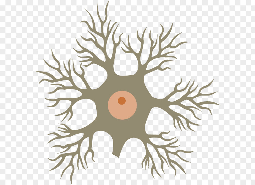 Behavioural Genetics Stock Photography Neuron Royalty-free PNG