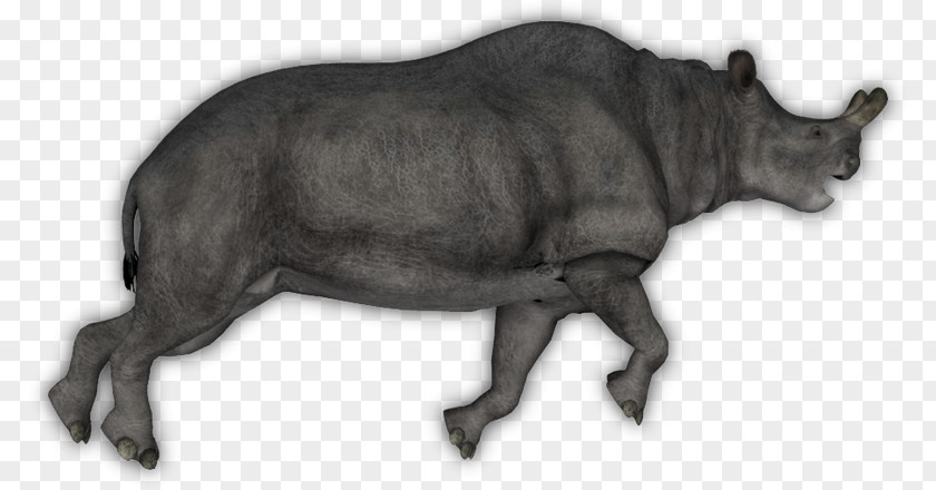 Bison Cattle Tapir Rhinoceros Horn PNG