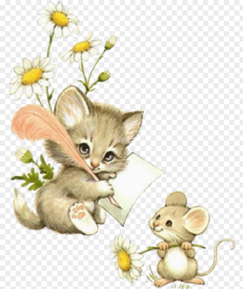 Kitten Cat Mouse Animal Illustrations Clip Art PNG