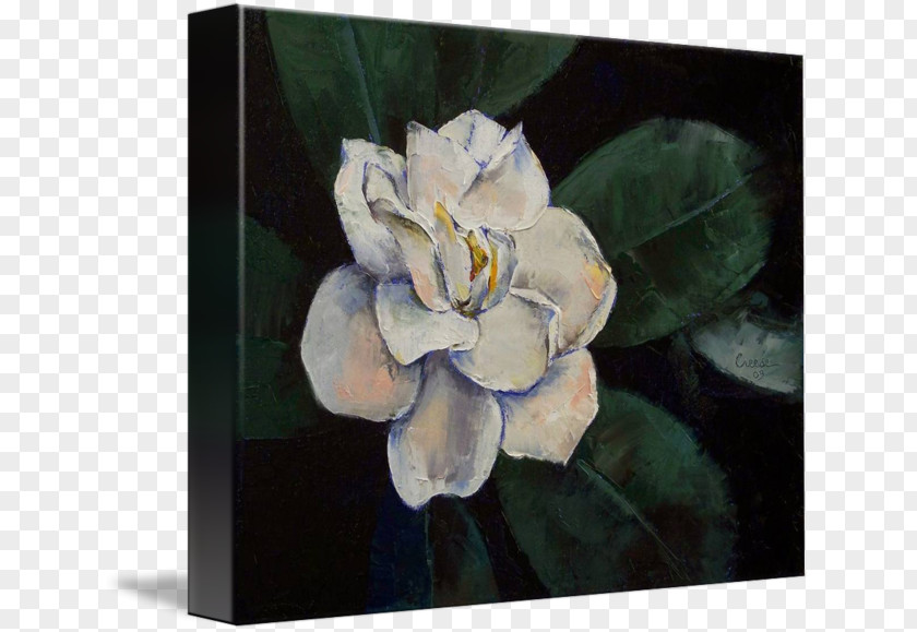 Painting Still Life Canvas Print Oil PNG