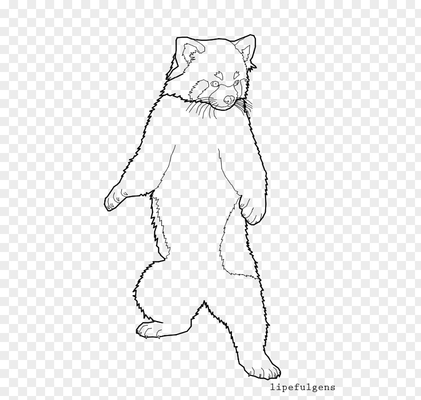 Red Panda Whiskers Cat /m/02csf Line Art Bear PNG