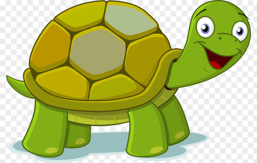Turtle Running Cliparts Free Content Clip Art PNG