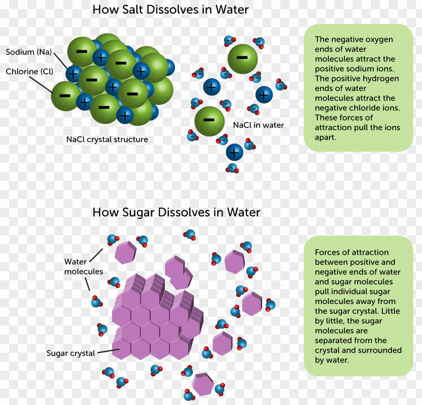 Water Ionic Compound Sodium Chloride Bonding Chemical PNG