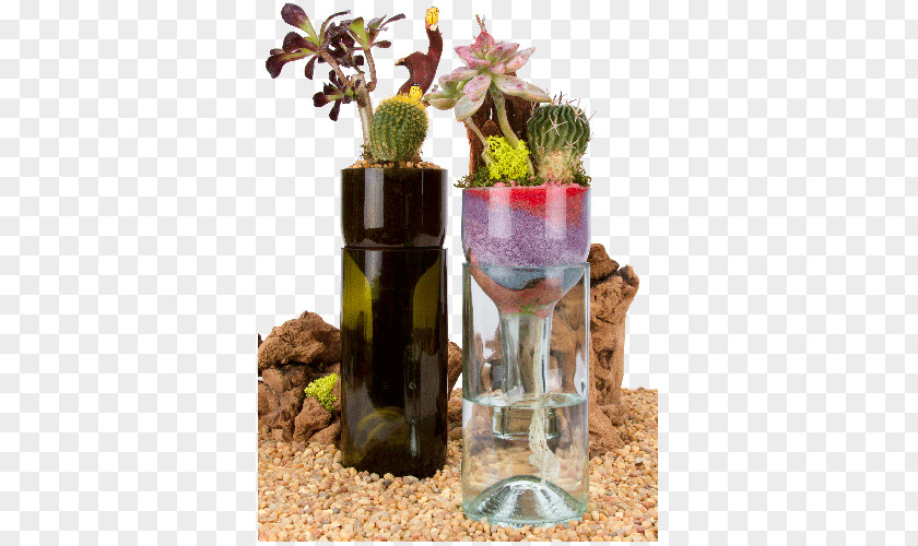 Wine Bottle Planters Plants Beer Succulent Plant PNG