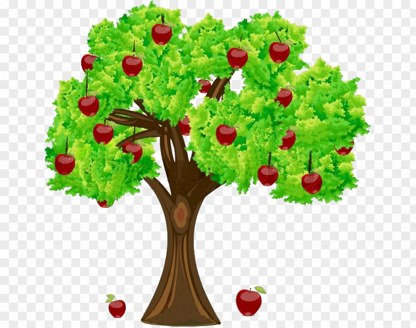 Apple Stock Photography Fruit Tree Clip Art PNG