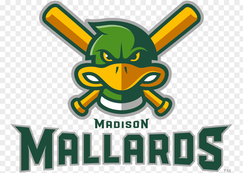 Baseball Madison Mallards Kenosha Kingfish Wisconsin Woodchucks Rockford Rivets Green Bay Bullfrogs PNG
