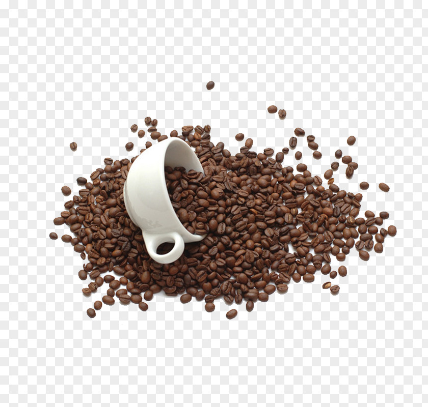 Coffee Beans Bean Tea Chocolate Milk Cup PNG