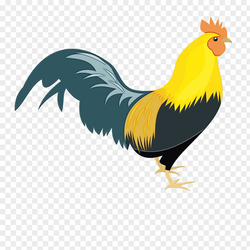 Fowl Poultry Book Silhouette PNG