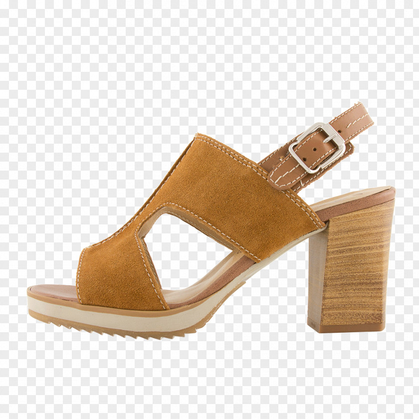 Sandal Slide Shoe PNG