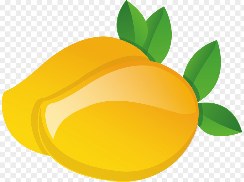 Vector Mango Euclidean Clip Art PNG