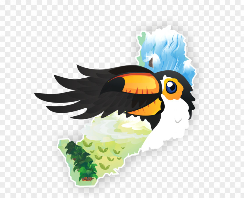 Bird Beak Toucan Logo Piciformes PNG
