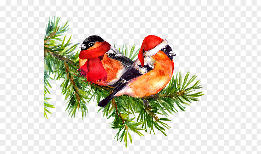 Bird Watercolor Painting Drawing Tree PNG
