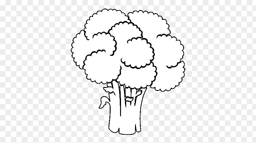 Broccoli Slaw Food Coleslaw Clip Art PNG