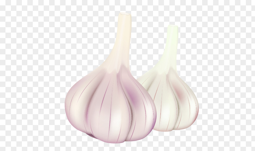 Cartoon Garlic Drawing PNG