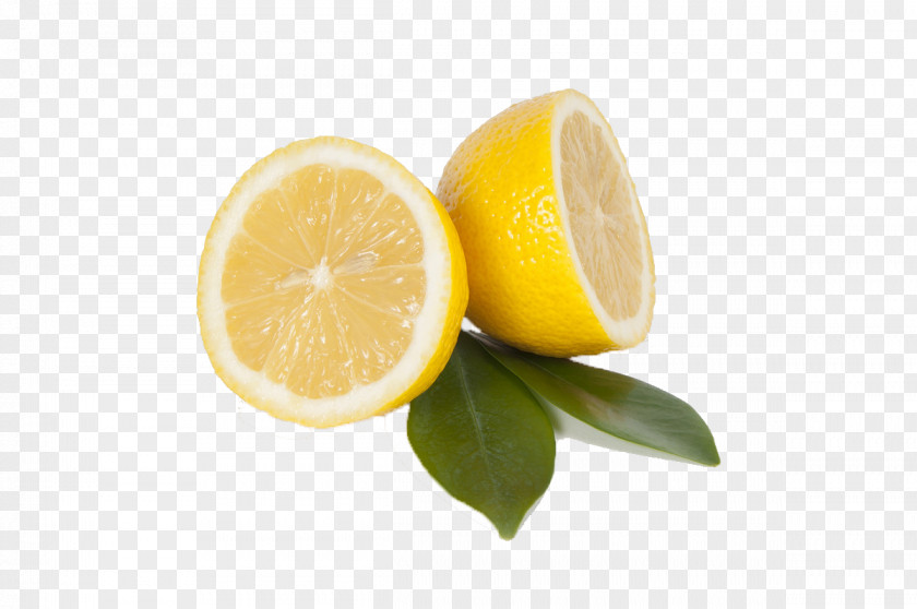 Fresh Lemon Lemon-lime Drink Citrus Junos Fruit PNG