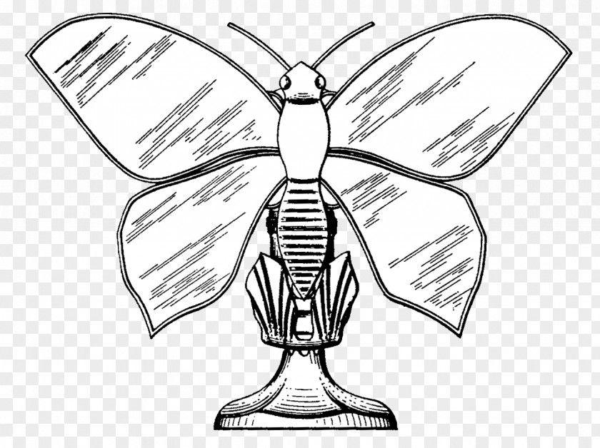 Insect Drawing /m/02csf Line Art Clip PNG