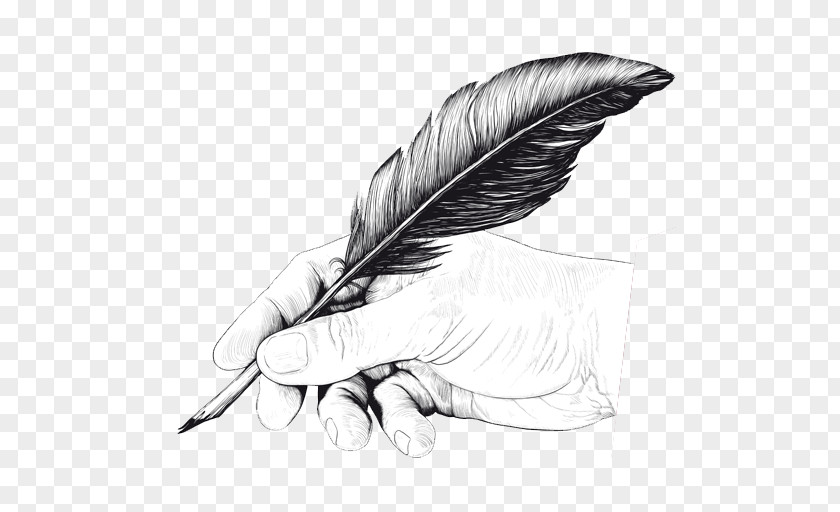 Pen Quill Drawing Feather PNG