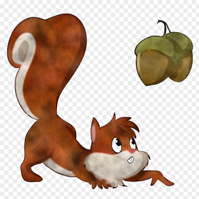 Squirrel Acorns PNG
