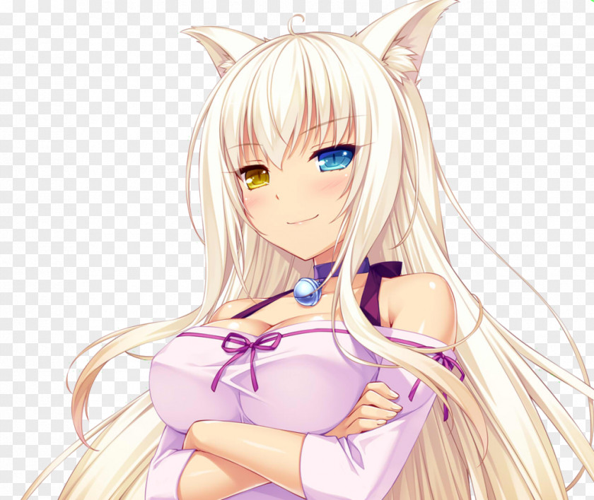 Coconut Nekopara Catgirl Neko Works PNG