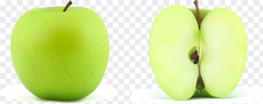 Vector Painted Green Apple Granny Smith Food PNG