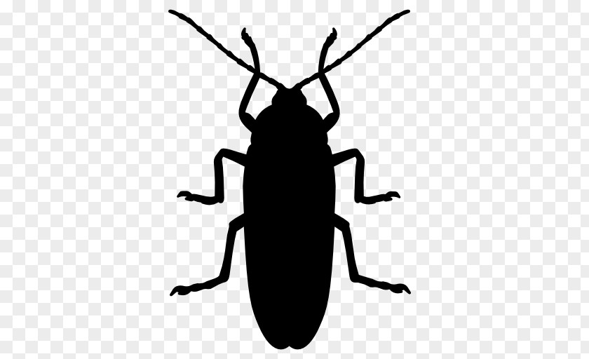 Cockroach Silhouette Insect Icon PNG
