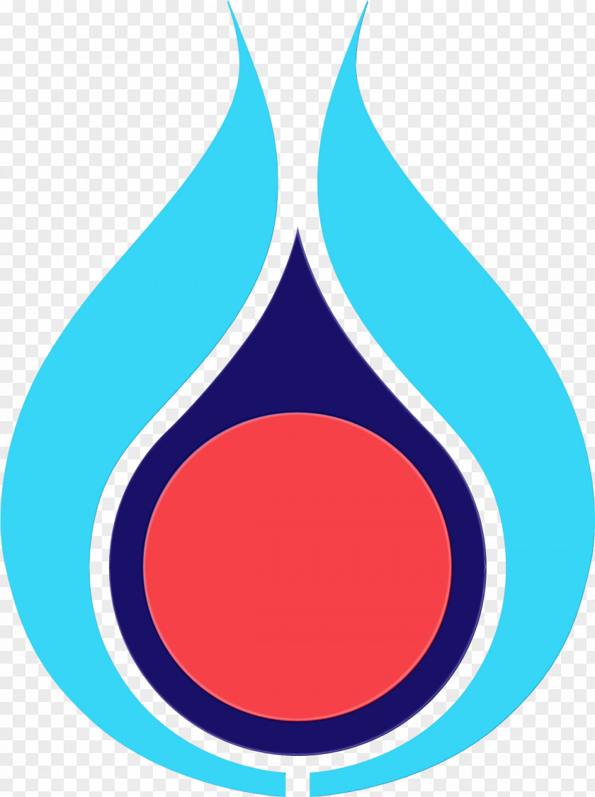 Electric Blue Subsidiary PTT Public Company Limited Philippines Corporation Natural Gas Chief Executive PNG
