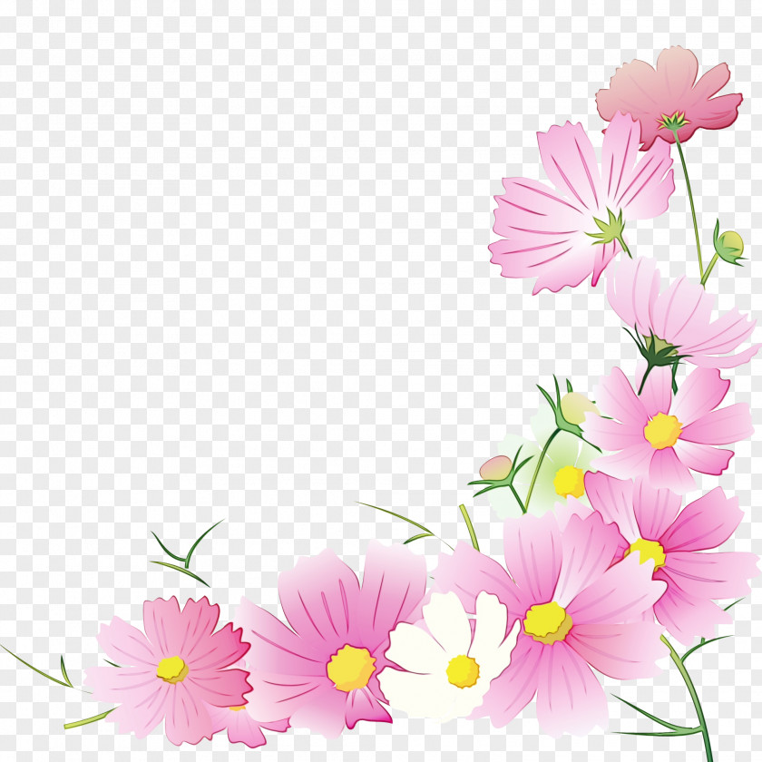 Gerbera Asterales Watercolor Pink Flowers PNG