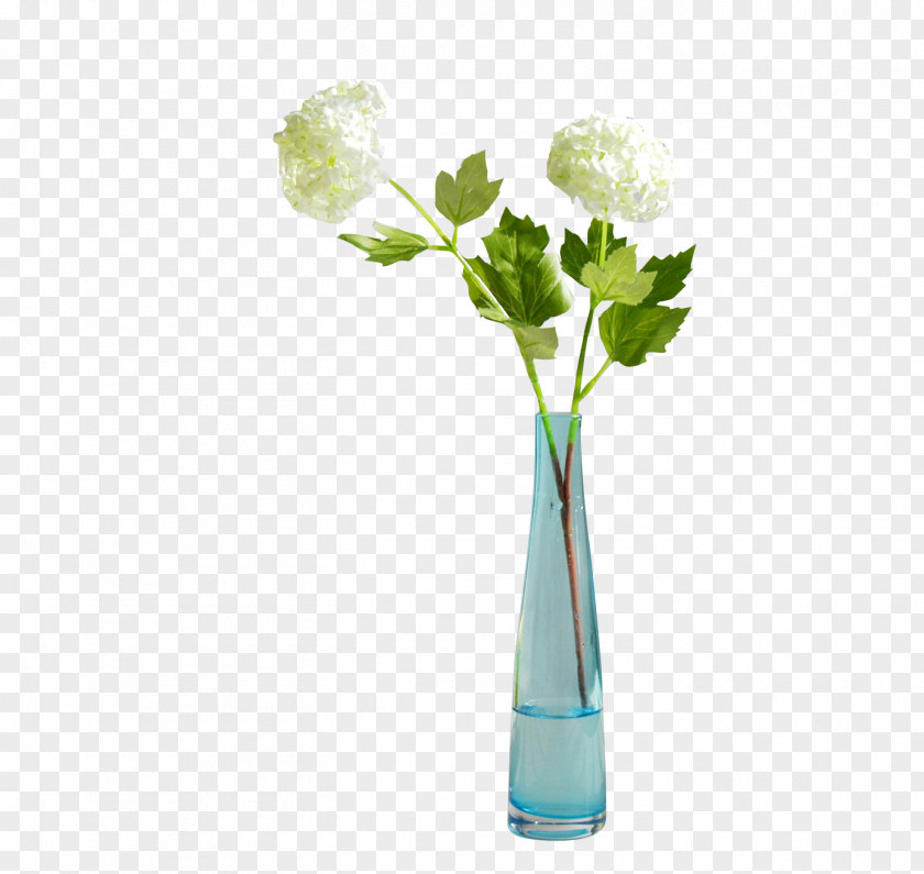 Vase Floral Design Designer PNG