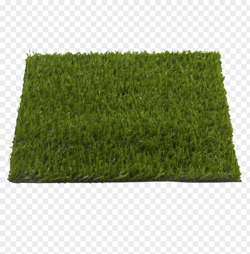 Grass Carp Artificial Turf Lawn Garden Furniture Plastic PNG