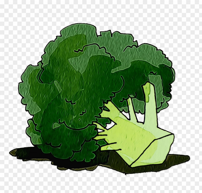 Leaf Vegetable Green M-tree Tree PNG
