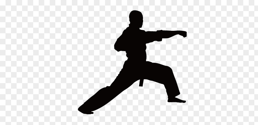 Taekwondo Silhouette Figures Martial Arts Karate Clip Art PNG
