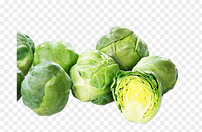 Brussels Sprouts Sprout Collard Greens Capitata Group Spring Leaf Vegetable PNG