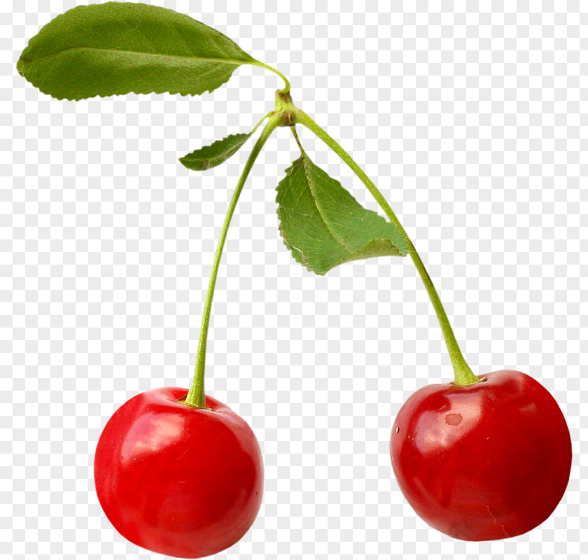 Cherry Barbados Food Fruit Berry PNG
