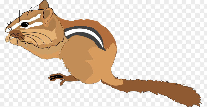 Chipmunk Animal Cliparts Squirrel Rodent Royalty-free Clip Art PNG