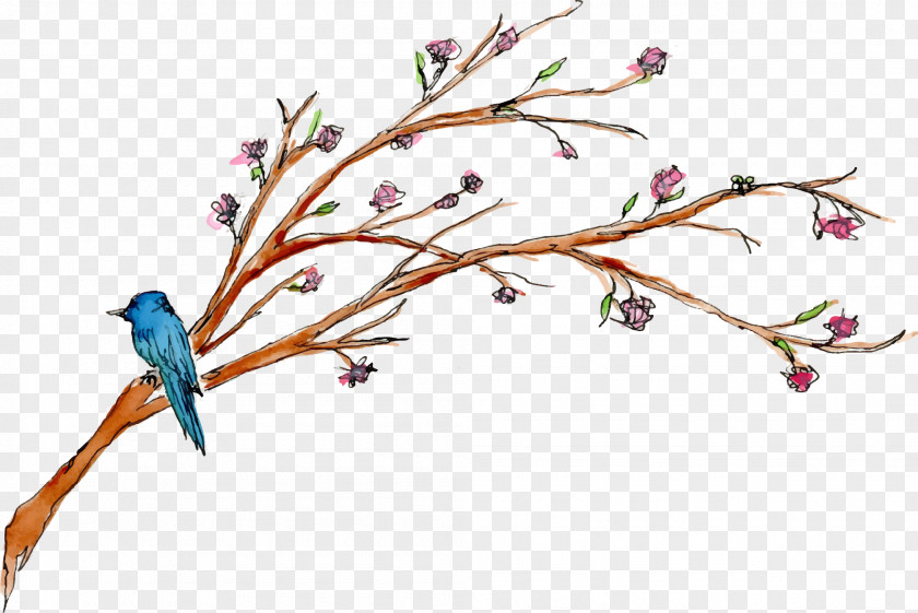 Colorful Branches Cut Flowers Twig Wreath Branch PNG